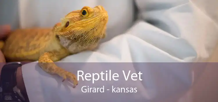 Reptile Vet Girard - kansas
