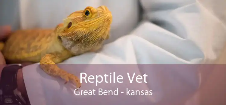 Reptile Vet Great Bend - kansas