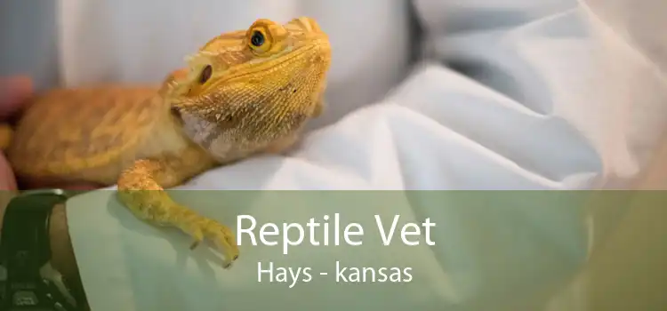 Reptile Vet Hays - kansas