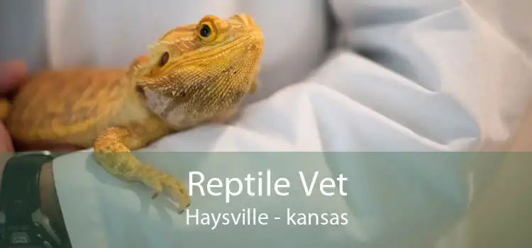 Reptile Vet Haysville - kansas