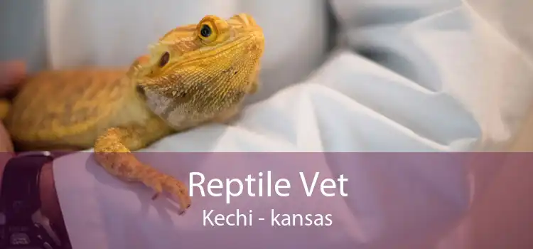 Reptile Vet Kechi - kansas