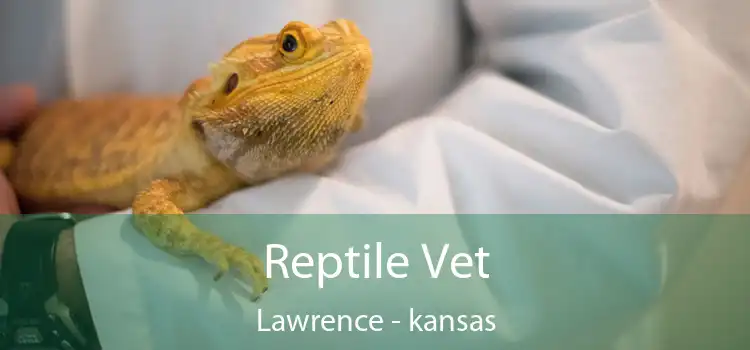 Reptile Vet Lawrence - kansas