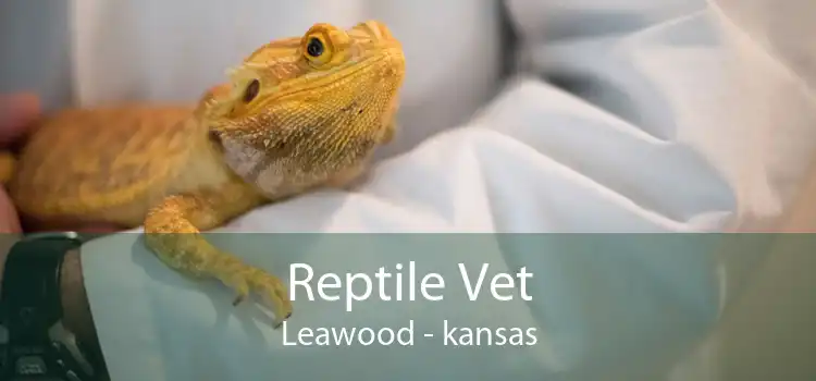 Reptile Vet Leawood - kansas