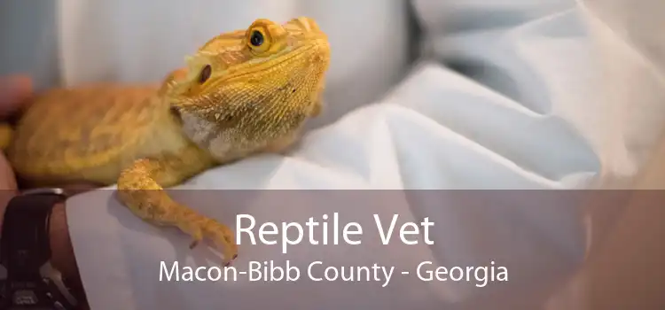 Reptile Vet Macon-Bibb County - Georgia