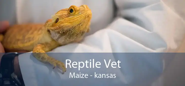 Reptile Vet Maize - kansas