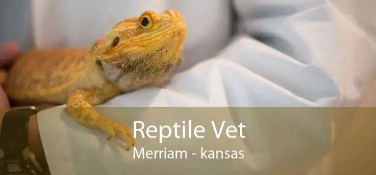 Reptile Vet Merriam - kansas