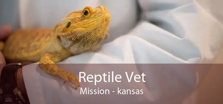 Reptile Vet Mission - kansas