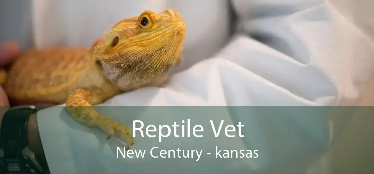 Reptile Vet New Century - kansas