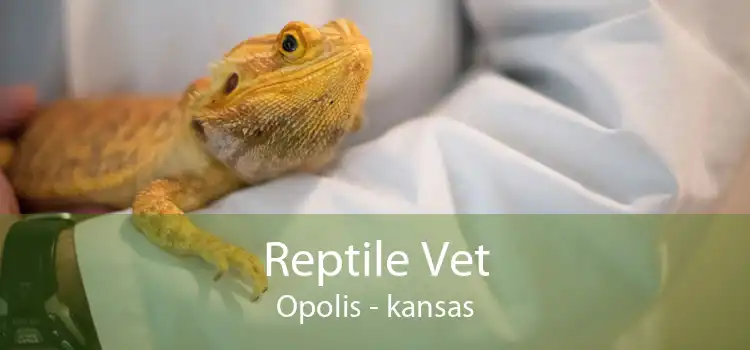 Reptile Vet Opolis - kansas