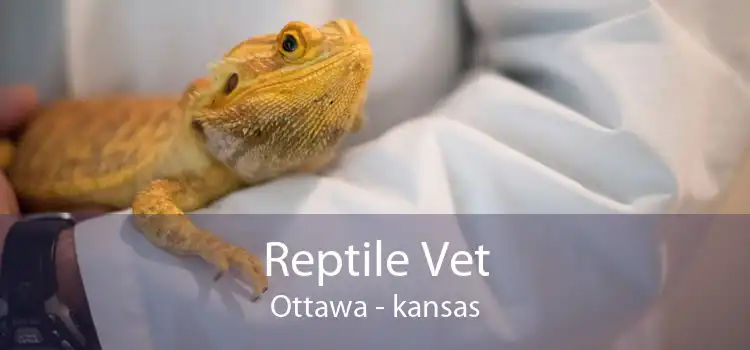 Reptile Vet Ottawa - kansas