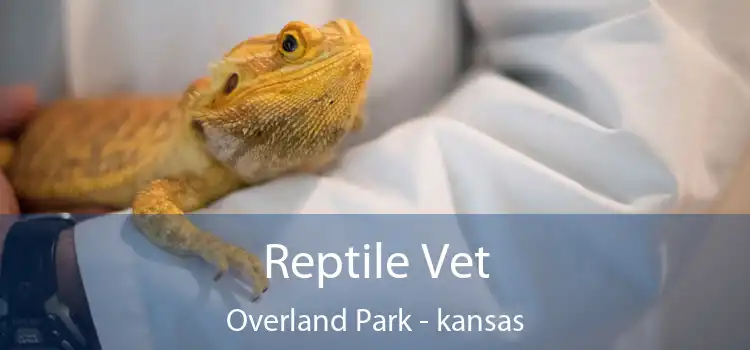 Reptile Vet Overland Park - kansas