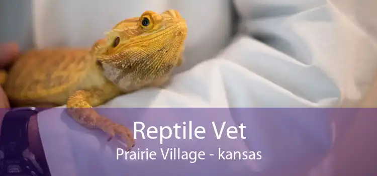 Reptile Vet Prairie Village - kansas