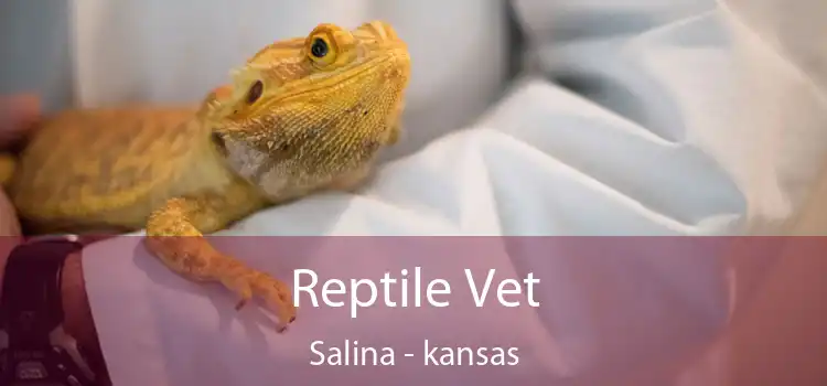 Reptile Vet Salina - kansas