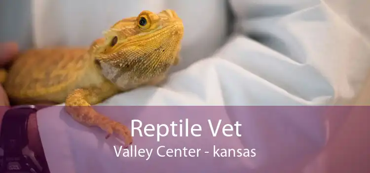 Reptile Vet Valley Center - kansas