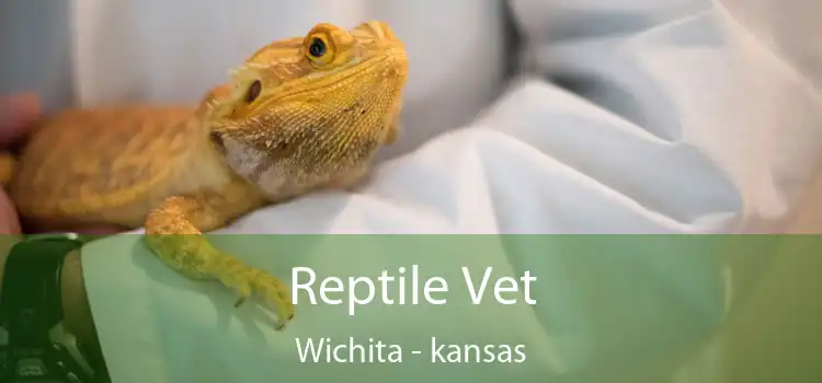 Reptile Vet Wichita - kansas