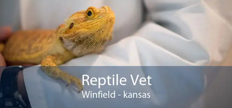 Reptile Vet Winfield - kansas