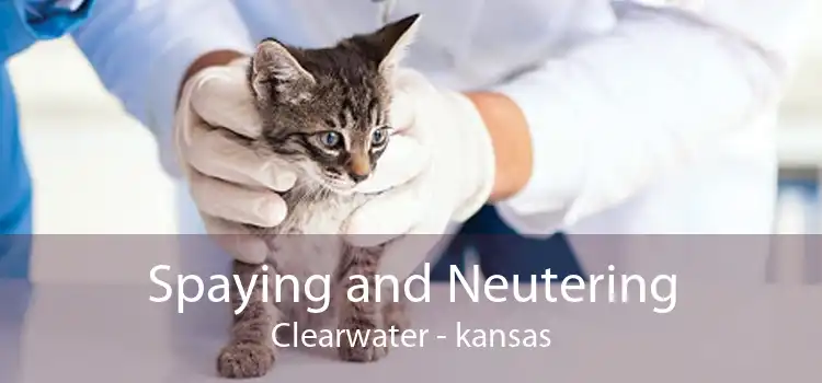 Spaying and Neutering Clearwater - kansas