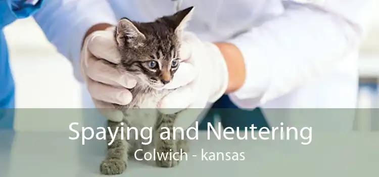Spaying and Neutering Colwich - kansas