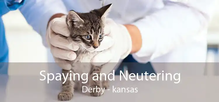 Spaying and Neutering Derby - kansas