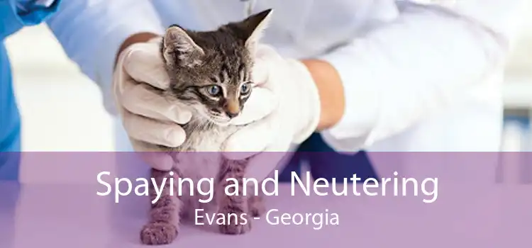 Spaying and Neutering Evans - Georgia