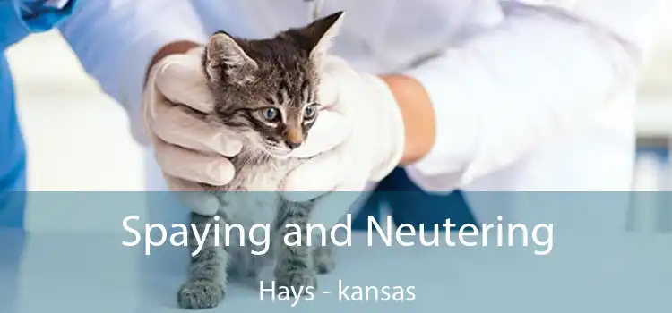 Spaying and Neutering Hays - kansas