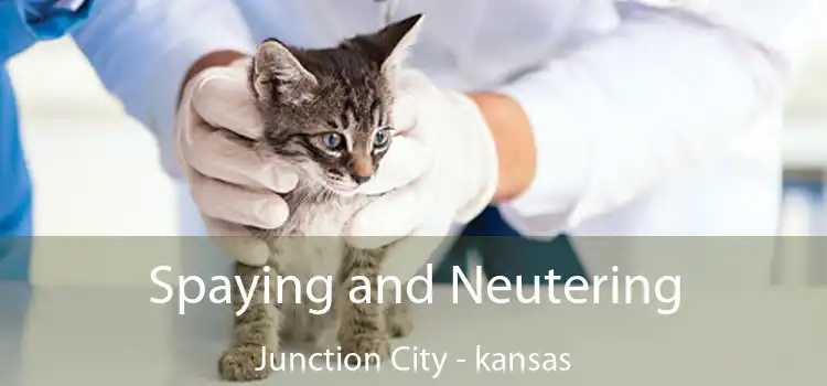 Spaying and Neutering Junction City - kansas