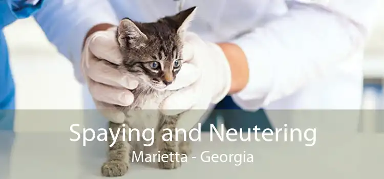 Spaying and Neutering Marietta - Georgia