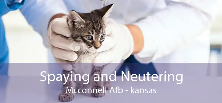 Spaying and Neutering Mcconnell Afb - kansas