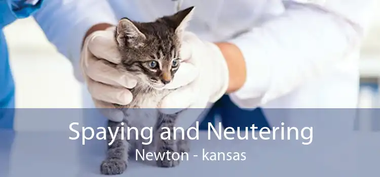 Spaying and Neutering Newton - kansas