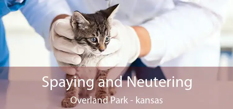 Spaying and Neutering Overland Park - kansas