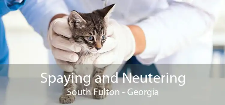 Spaying and Neutering South Fulton - Georgia