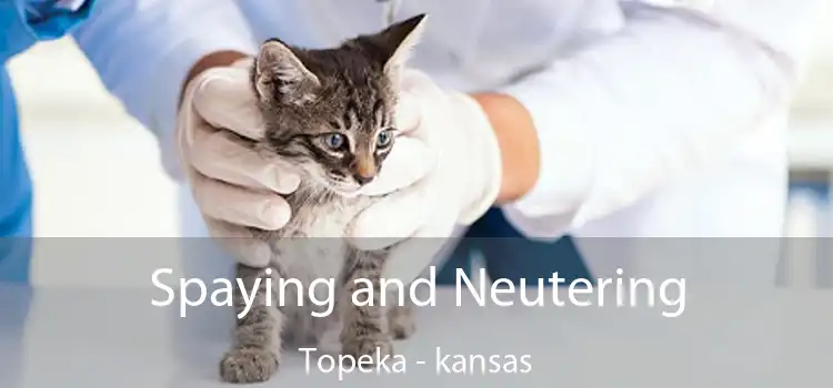 Spaying and Neutering Topeka - kansas