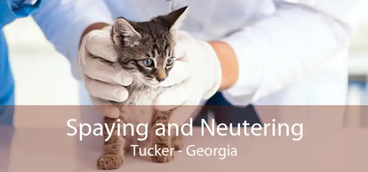 Spaying and Neutering Tucker - Georgia