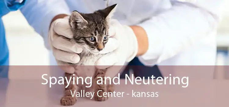 Spaying and Neutering Valley Center - kansas