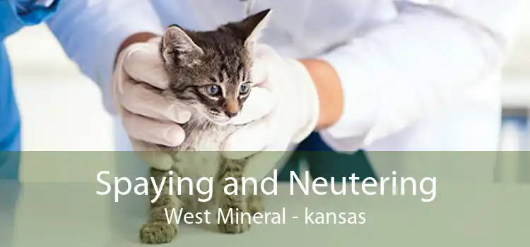 Spaying and Neutering West Mineral - kansas