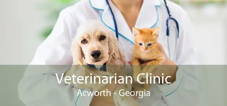 Veterinarian Clinic Acworth - Georgia
