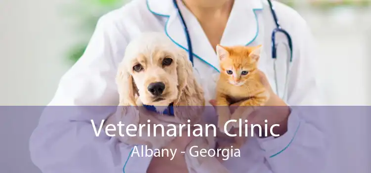 Veterinarian Clinic Albany - Georgia