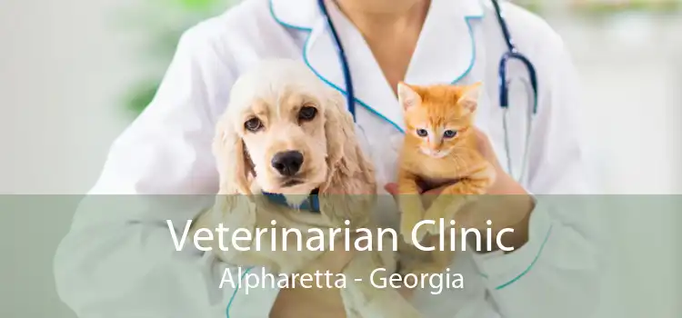 Veterinarian Clinic Alpharetta - Georgia