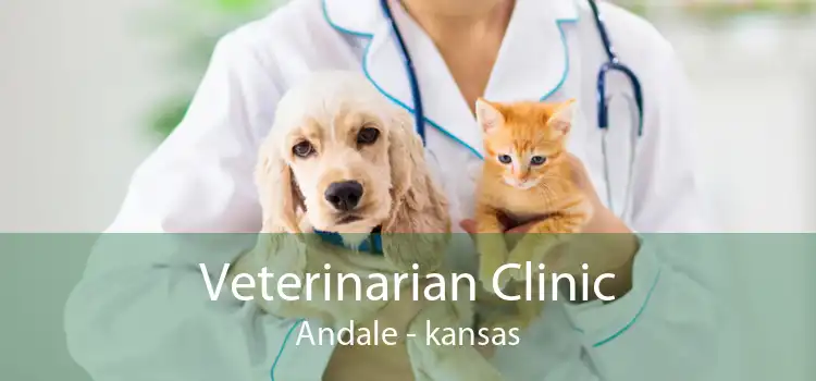 Veterinarian Clinic Andale - kansas