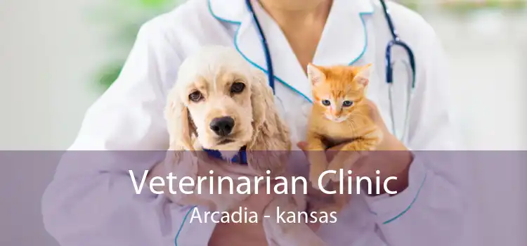 Veterinarian Clinic Arcadia - kansas