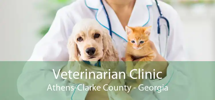 Veterinarian Clinic Athens-Clarke County - Georgia