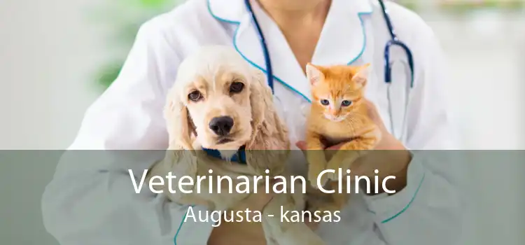 Veterinarian Clinic Augusta - kansas