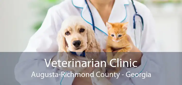 Veterinarian Clinic Augusta-Richmond County - Georgia