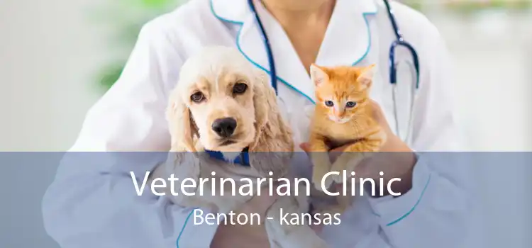 Veterinarian Clinic Benton - kansas