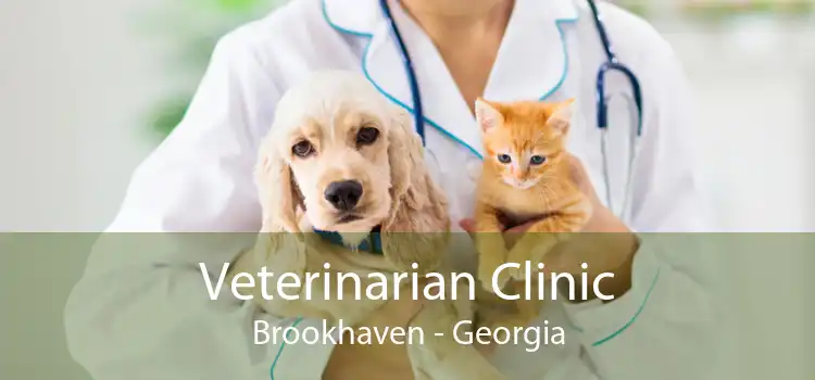 Veterinarian Clinic Brookhaven - Georgia
