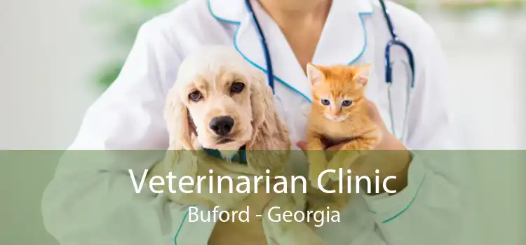 Veterinarian Clinic Buford - Georgia