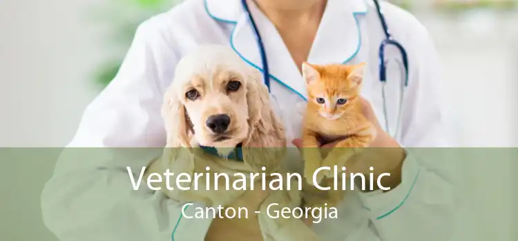 Veterinarian Clinic Canton - Georgia