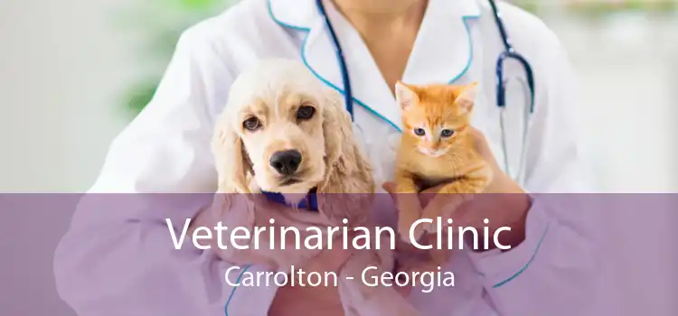 Veterinarian Clinic Carrolton - Georgia