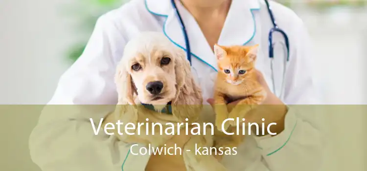 Veterinarian Clinic Colwich - kansas