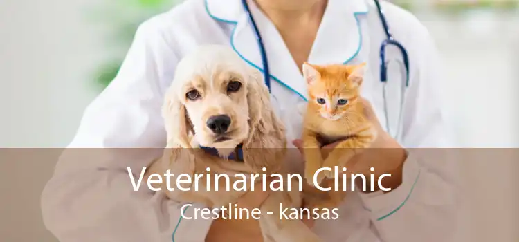 Veterinarian Clinic Crestline - kansas